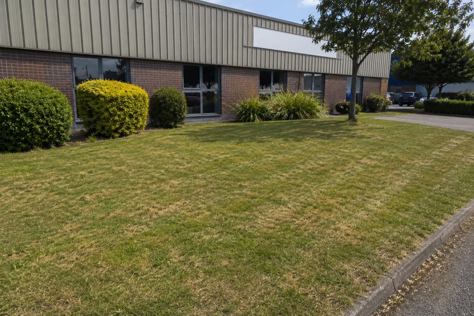 Business premises mowing service example